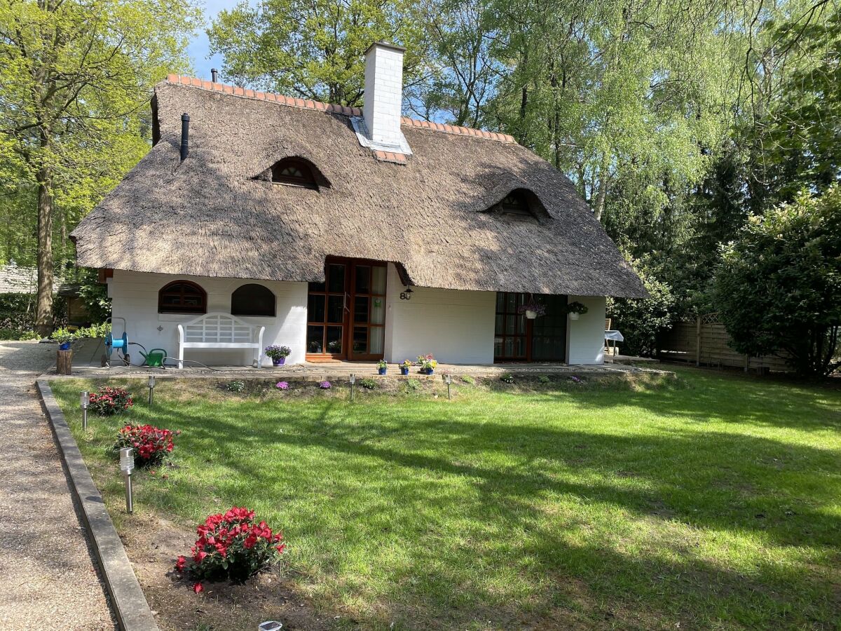 Holiday house Ferienhaus Boschhuys - Outdoor photo 4
