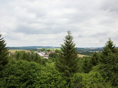 Holiday house Villa Hochwald Familienhaus - Outdoor photo 3
