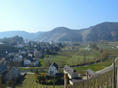 Apartment Apartment in Morbach near Ski Lift - Environment photo 28