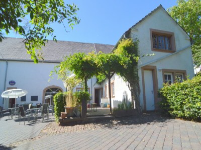 Apartment Gemütliche Wohnung mit Terrasse in Meisburg in Volcanic Eifel - Apartment