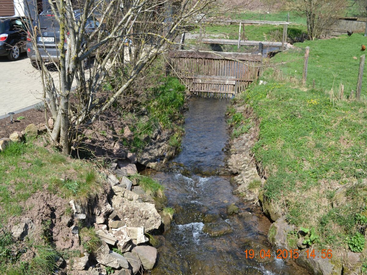 Apartment Halenfeld Family Farm Stay - Outdoor photo 2