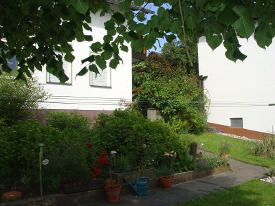 Apartment Kyll Valley Forest Apartment - Outdoor photo 3