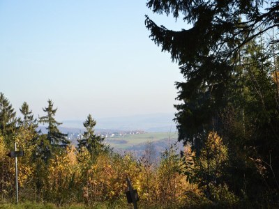 Holiday house Private Mountain Lodge, Bad Ems - Environment photo 35