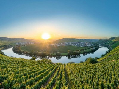 Apartment gemütliche Ferienwohnung in Kaifenheim - Environment photo 32