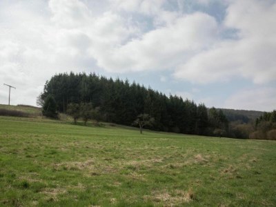 Cottage Erdgeschosswohnung in ruhiger Lage - Environment photo 32