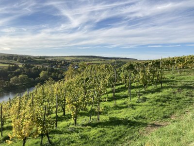 Apartment Rückzugsort an der Mosel - Environment photo 27