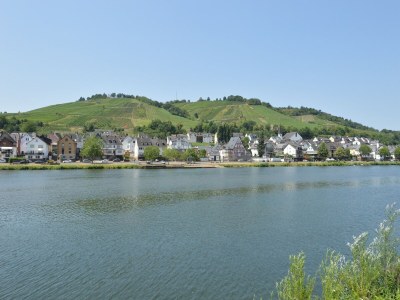 Apartment Attractive Apartment in Zell near River - Environment photo 34