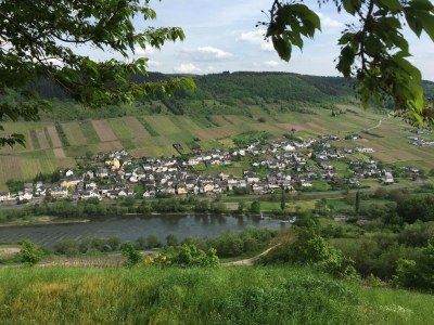 Apartment Malerisches Ferienhaus in Reil - Environment photo 29
