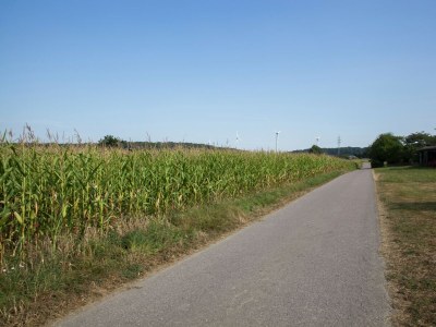 Holiday house Farmhouse Escape in Haserich - Environment photo 35