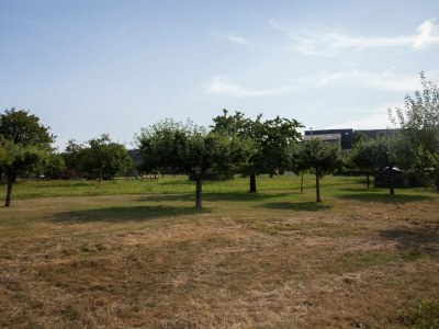 Holiday house Farmhouse Escape in Haserich - Environment photo 40