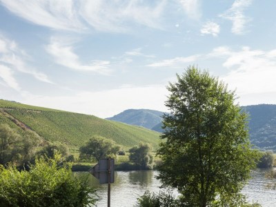 Holiday house Ferienhaus in Briedel an der Mosel - Environment photo 27