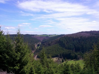 Holiday house Naturparadies Bad Laasphe - Environment photo 31