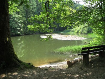 Holiday house Naturparadies Bad Laasphe - Environment photo 35