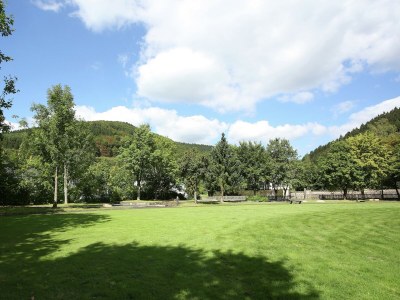 Apartment Wohnung in Schmallenberg mit Garten - Outdoor photo 9