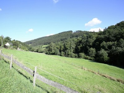 Apartment Wohnung in Schmallenberg mit Garten - Outdoor photo 11