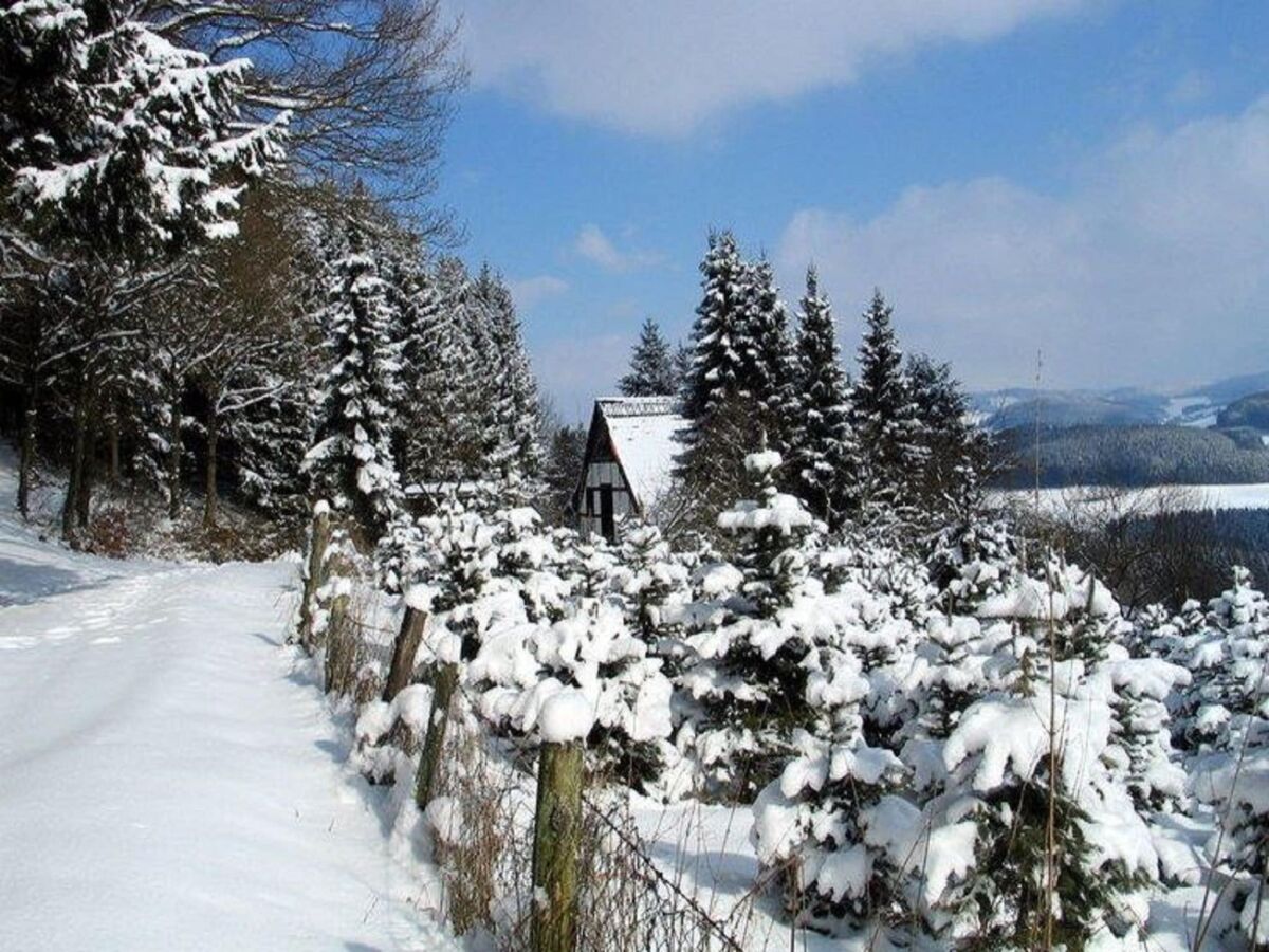 Apartment Wohnung in Sauerland nahe Fluss und Parks - Outdoor photo 4