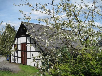 Apartment Wohnung in Sauerland nahe Fluss und Parks - Outdoor photo 16