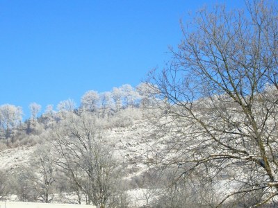 Apartment Panoramic Stay, Schmallenberg - Environment photo 35