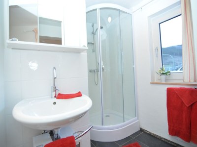 Apartment Ferienhaus in Sauerland nahe Winterberg Skifahren - Features photo 17