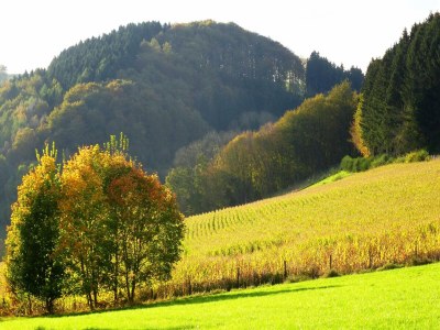 Apartment Ferienhaus in Oberkirchen nahe Skilift - Environment photo 34