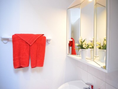 Apartment Ferienhaus Schmallenberg nahe Skifahren - Features photo 21