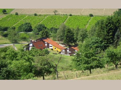 Holiday house Ferienhaus im Hochsauerland mit Terrasse - Environment photo 38