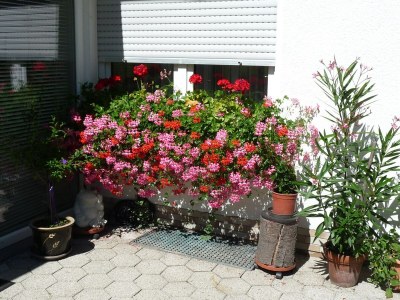 Apartment Anmutige Wohnung in Velmede mit Garten - Outdoor photo 12