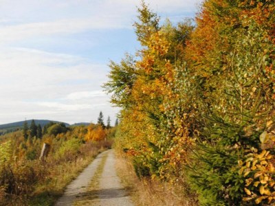 Holiday house Group Getaway in Brilon-Wald - Environment photo 39