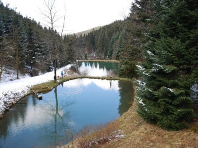 Holiday house Ferienhaus in Winterberg- Atlastenberg - Environment photo 24
