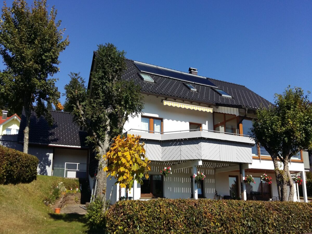 Apartment Ferienwohnung im malerischen Kniebis