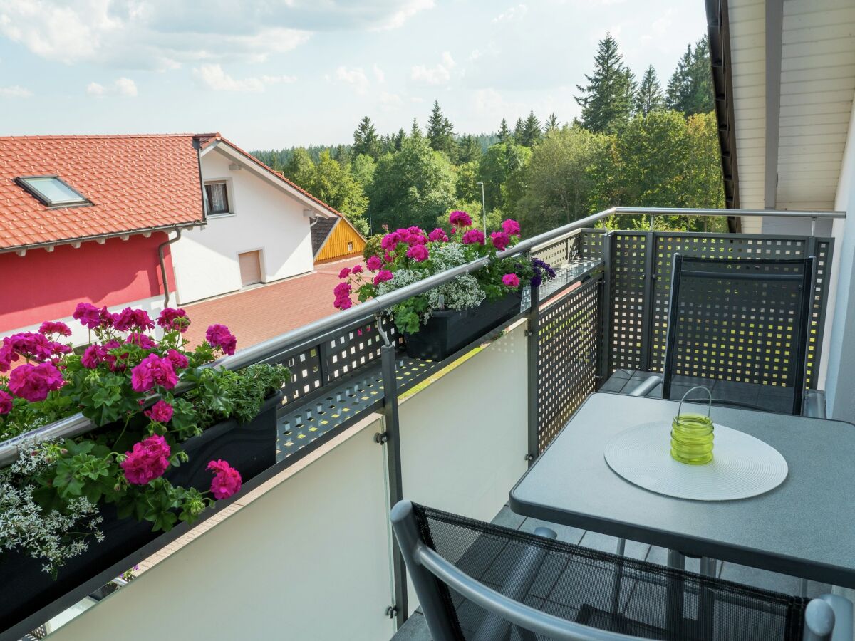 Apartment Ferienwohnung im malerischen Kniebis - Outdoor photo 2