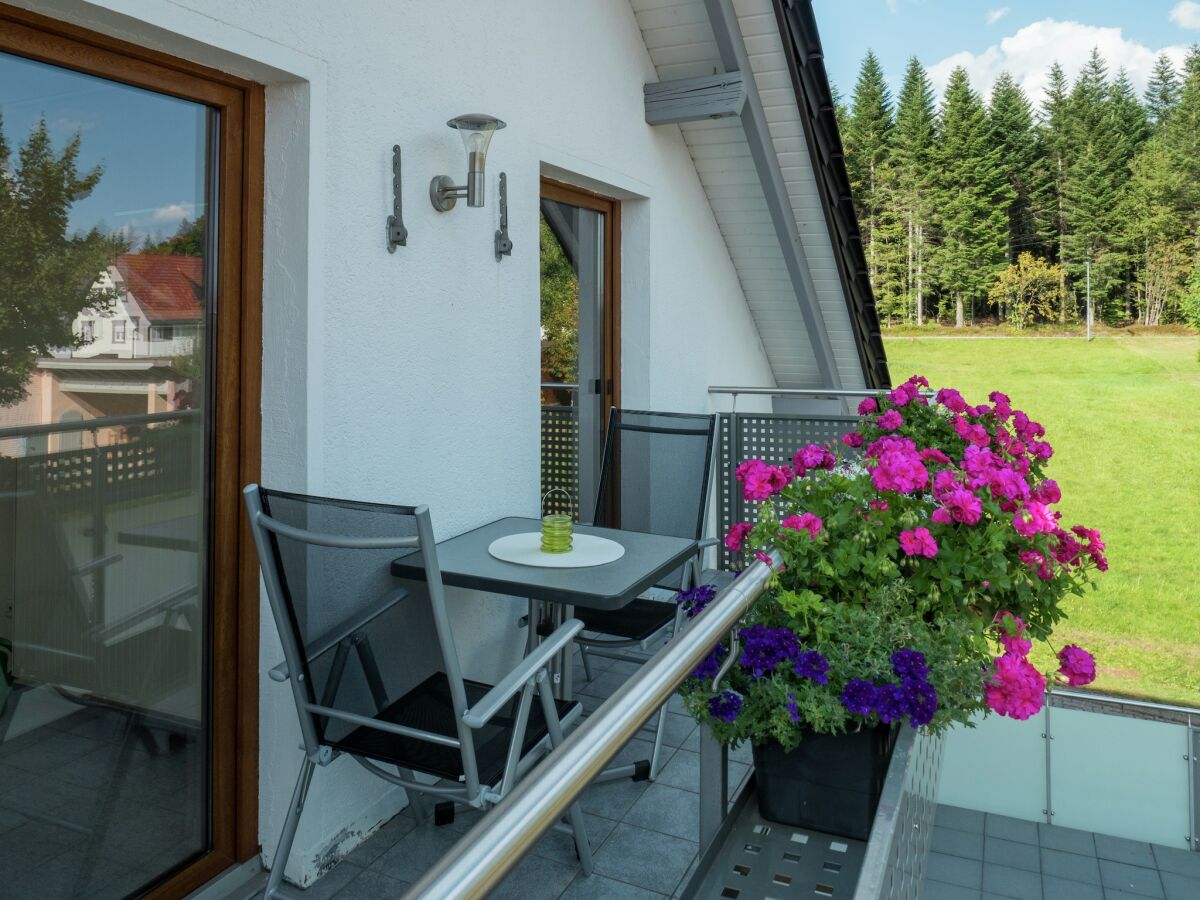Apartment Ferienwohnung im malerischen Kniebis - Outdoor photo 5