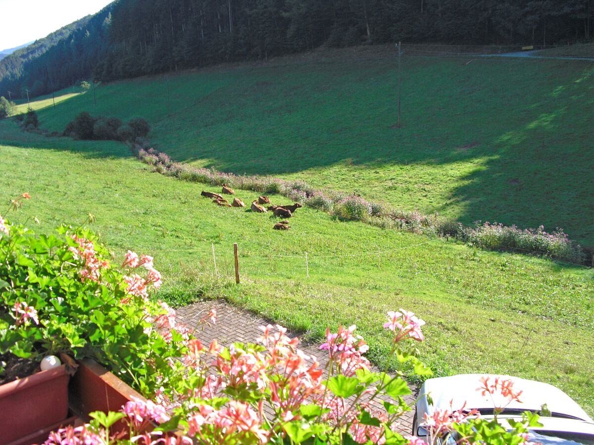 Apartment Ruhiges Bauernhaus, Hofstetten - Outdoor photo 3