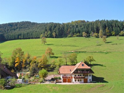 Apartment Ruhiges Bauernhaus, Hofstetten - Outdoor photo 2