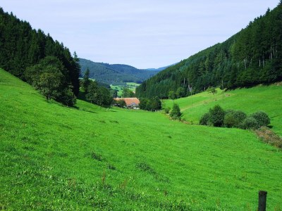 Apartment Ruhiges Bauernhaus, Hofstetten - Environment photo 12