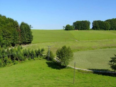 Apartment Ruhiges Bauernhaus, Hofstetten - Environment photo 31