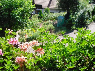Apartment Farmhouse Escape in Hofstetten - Outdoor photo 6