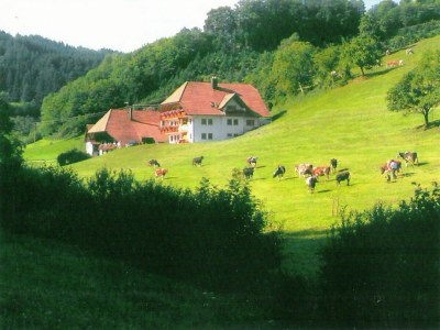 Apartment Farmhouse Escape in Hofstetten - Outdoor photo 8