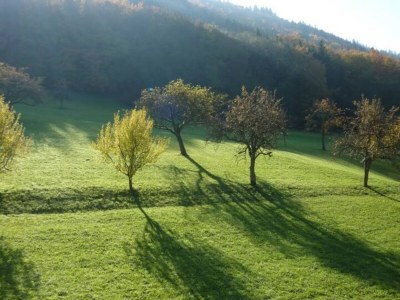 Apartment Farmhouse Escape in Hofstetten - Environment photo 29