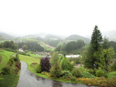 Apartment Ferienwohnung, Bad Peterstal - Outdoor photo 3