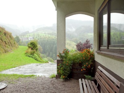 Apartment Ferienwohnung, Bad Peterstal - Outdoor photo 4