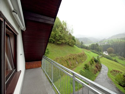 Apartment Ferienwohnung mit Weinbergblick - Outdoor photo 14