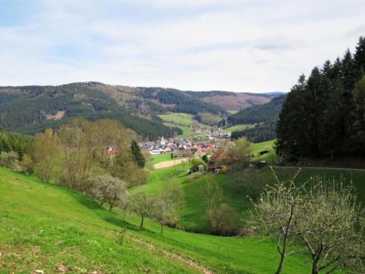Apartment Urige Ferienwohnung in Schiltach - Environment photo 33