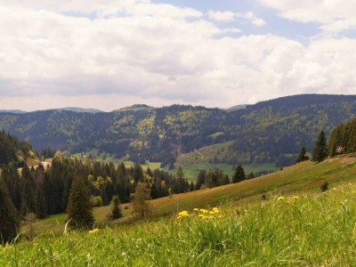 Apartment Hideaway near Black Forest - Environment photo 24