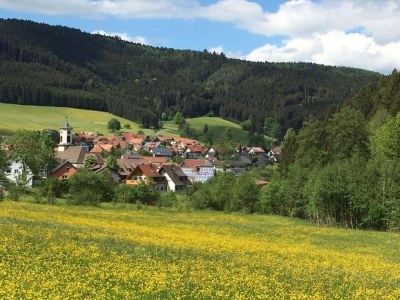 Apartment Hideaway near Black Forest - Environment photo 32