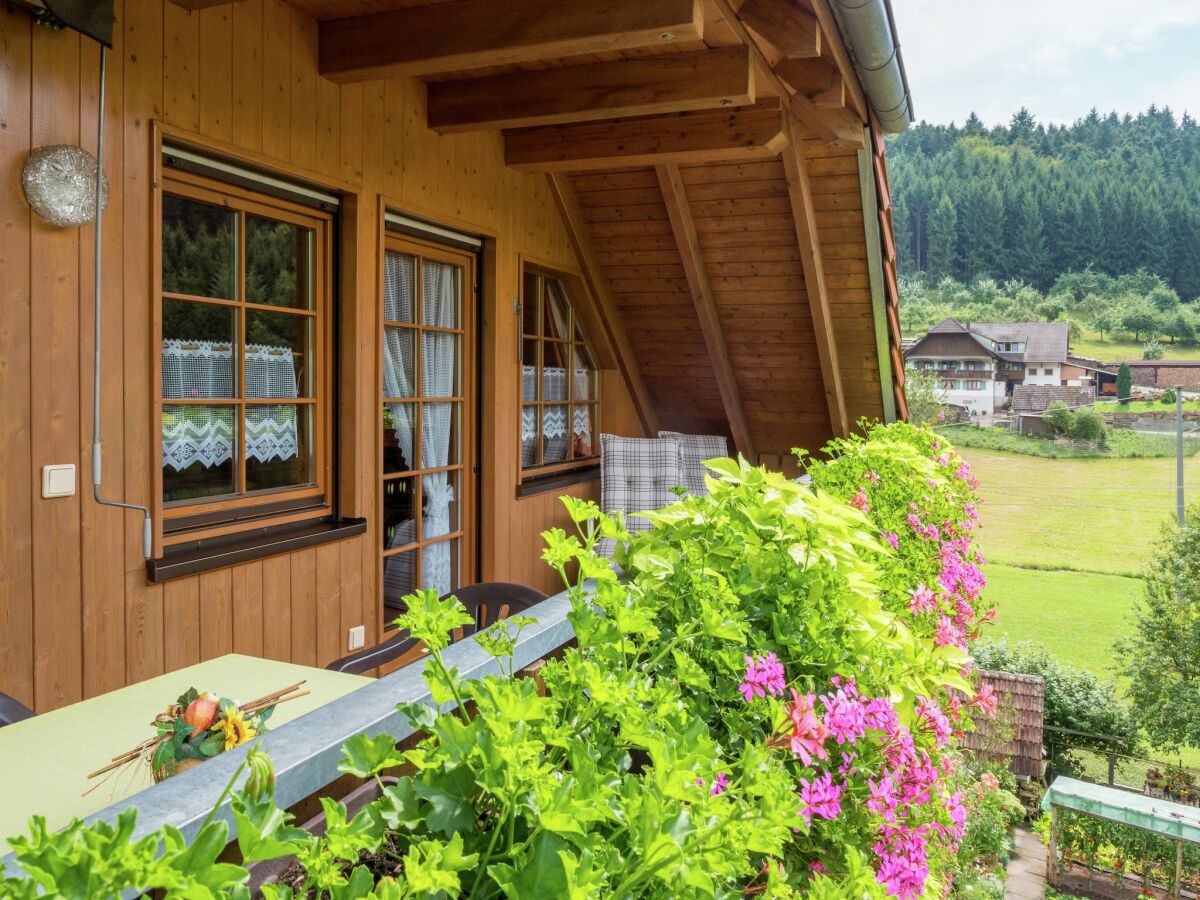 Farmhouse Schwarzwald-Ferienwohnung auf dem Bauernhof - Outdoor photo 4