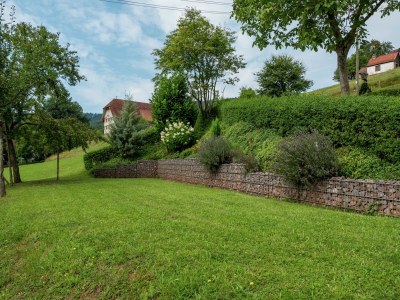 Farmhouse Schwarzwald-Ferienwohnung auf dem Bauernhof - Outdoor photo 9