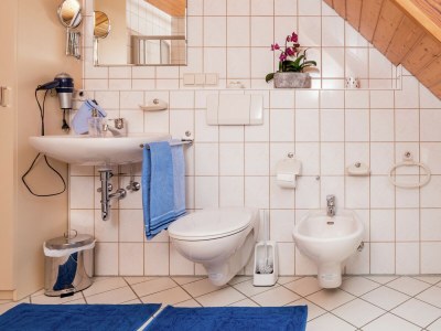 Farmhouse Schwarzwald-Ferienwohnung auf dem Bauernhof - Features photo 20