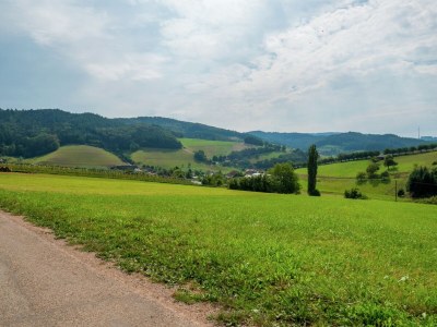 Farmhouse Schwarzwald-Ferienwohnung auf dem Bauernhof - Environment photo 26