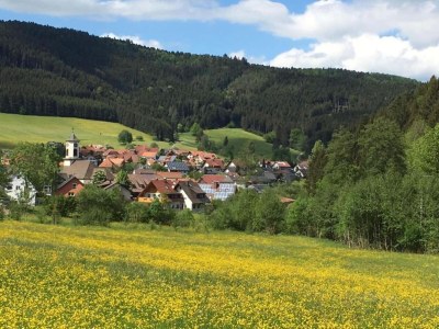 Farmhouse Schwarzwald-Ferienwohnung auf dem Bauernhof - Environment photo 29